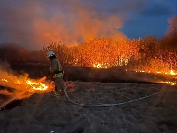 Протягом дня на Волині вигоріло 19 гектарів землі