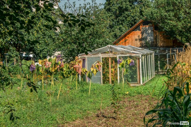 «Хто живе на ЛПЗ, тому у житті везе»: день на луцькому районі контрастів. ФОТО