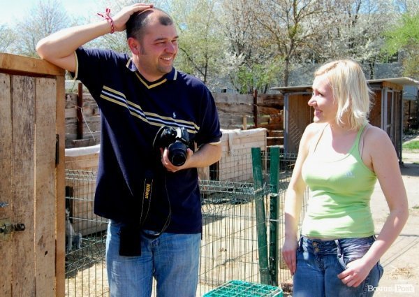 Іноземці безплатно стерилізуватимуть луцьких собак