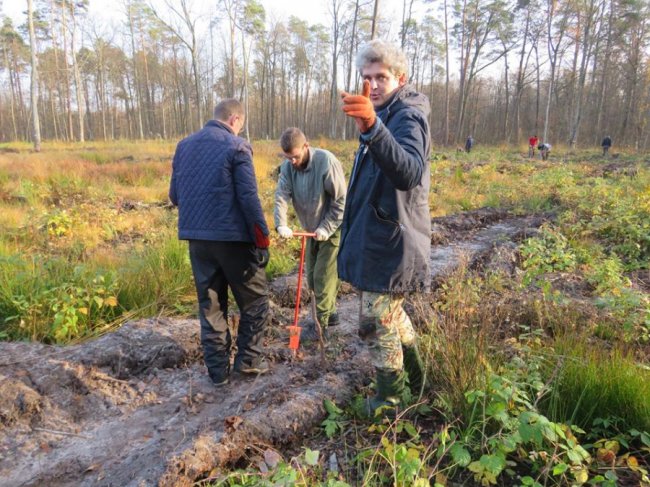 У Цуманській пущі висадили тисячі дубів. ФОТО