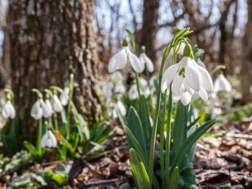 Погода на завтра, 24 березня, у Луцьку