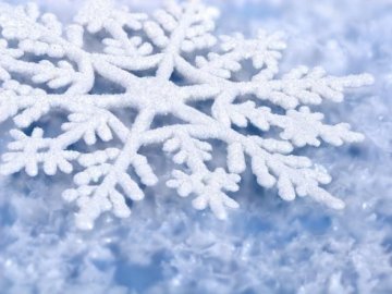 Погода в Луцьку та Волинській області на п’ятницю, 20 січня