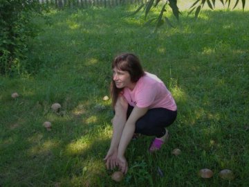 Волинянин розповів, як у саду біля хати вирощує білі гриби