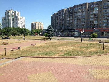 Місто поступово стає пустелею, - лучанина обурила вистрижена «під нуль» трава