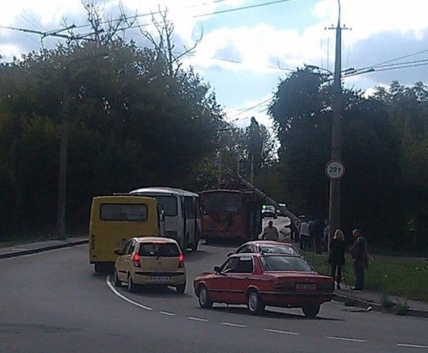 У Луцьку на тролейбус упала електроопора