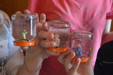 Сніжки та чаклунський турнір: як діти волинських Героїв відпочивають у таборі