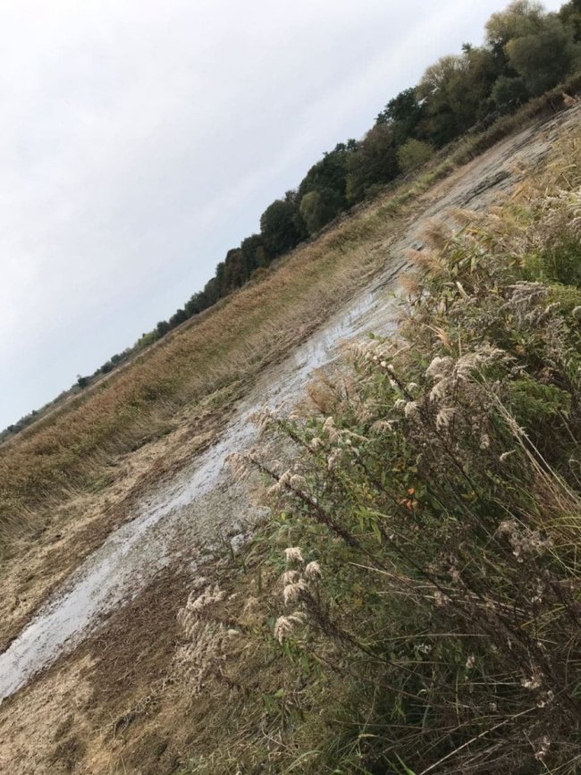У заказнику біля Луцька орендар незаконно спускав воду зі ставків