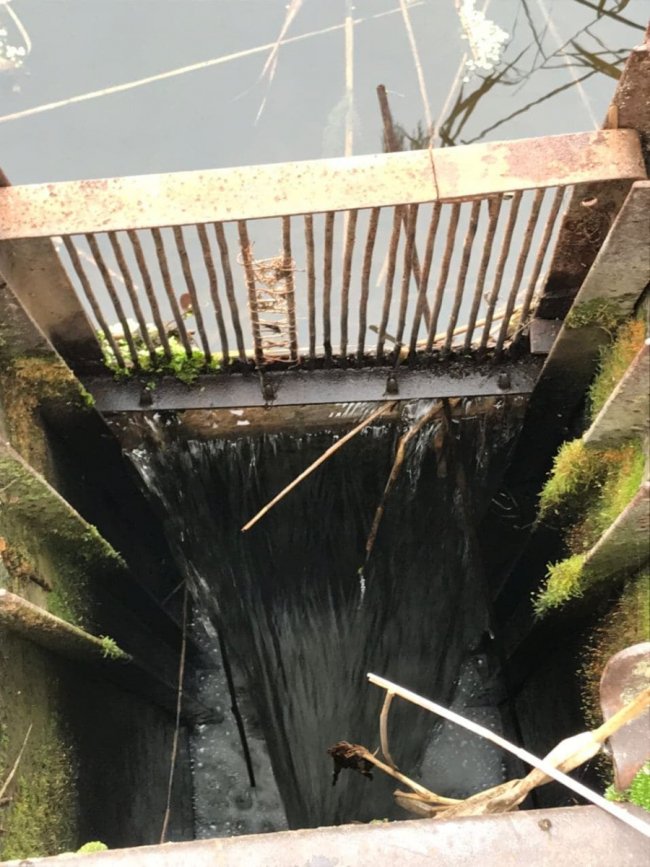 У заказнику біля Луцька орендар незаконно спускав воду зі ставків