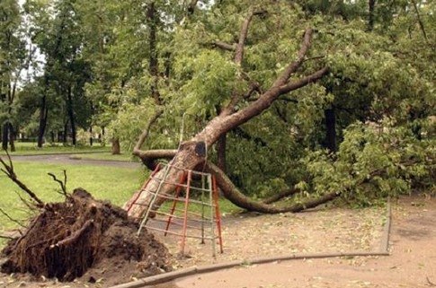 Ураган в Луганську. ФОТО. ВІДЕО