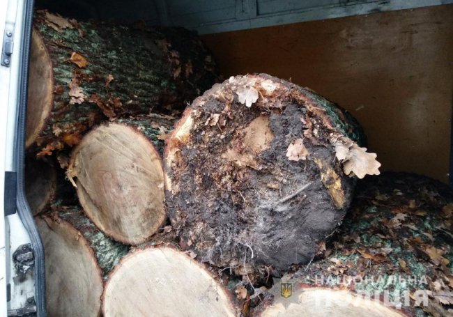 На Волині виявили автомобіль з незаконною деревиною. ФОТО