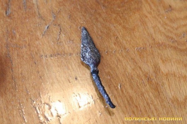 Показали срібний скарб, знайдений під Луцьком. ФОТО