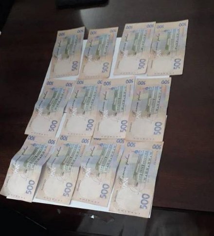 Двох волинських посадовців, які прикривали «наливайку», спіймали на хабарі. ФОТО