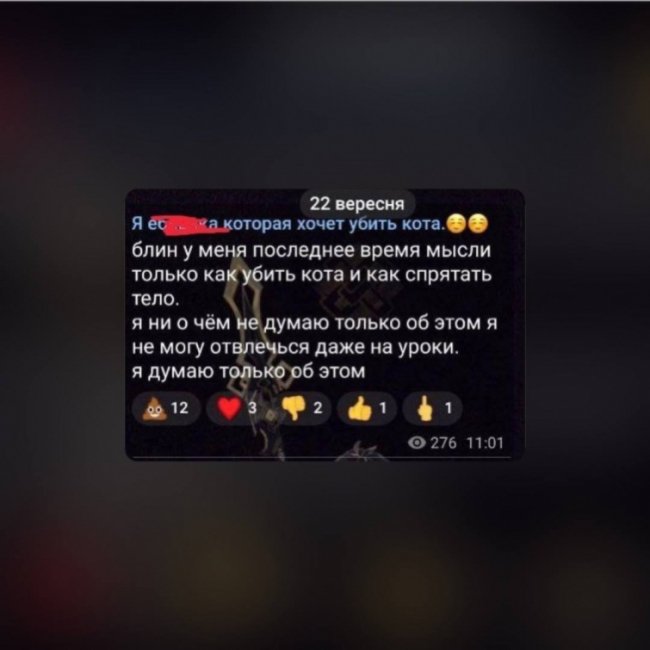 На Рівненщині 12-річна школярка вбивала котів на камеру