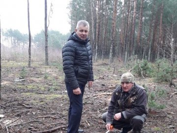 У районі на Волині – незаконна рубка дерев