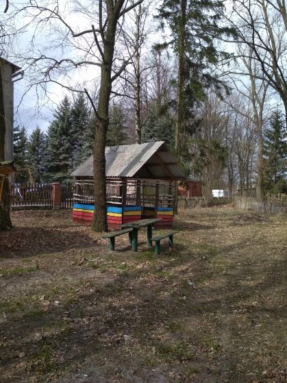 Через аукціон продають базу відпочинку на березі озера Світязь. ФОТО