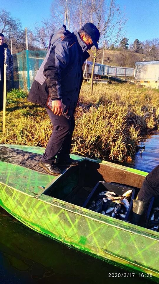 Волинський рибпатруль випустив у Хрінницьке водосховище майже тонну риби. ФОТО
