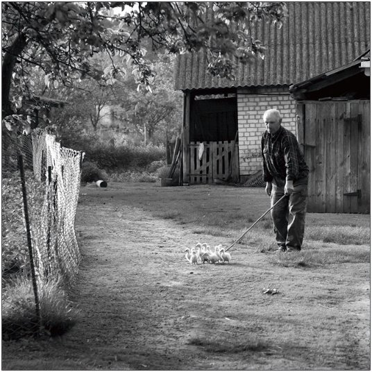 Фотовиставка Тараса Цибуха