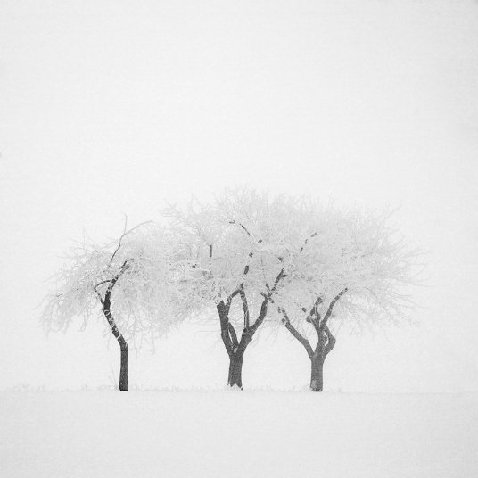 Фотовиставка Тараса Цибуха