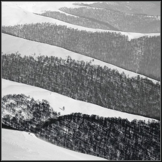 Фотовиставка Тараса Цибуха