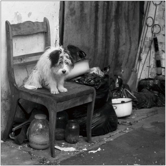 Фотовиставка Тараса Цибуха