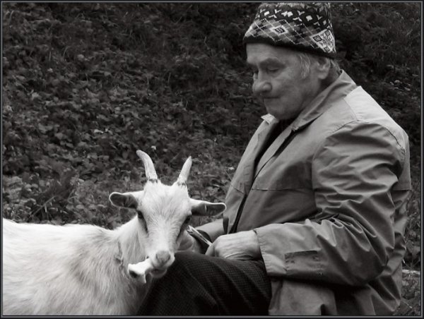 Фотовиставка Тараса Цибуха