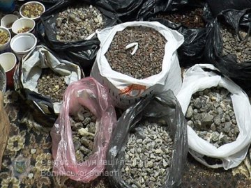 Суд таки арештував 100 кілограм «луцького» бурштину