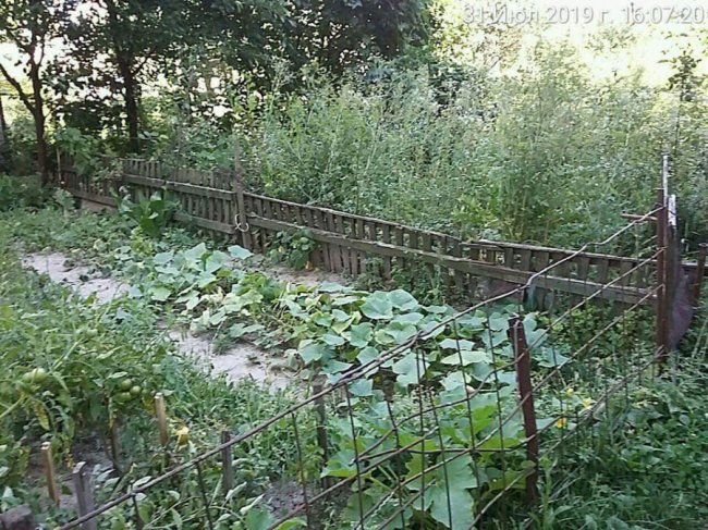 У Луцьку муніципали зноситимуть старі паркани, сараї та халабуди. ФОТО