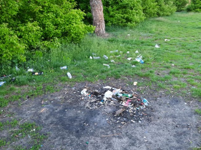 Купи сміття та обміління: показали, який вигляд має озеро у Ківерцях. ФОТО