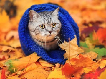 Погода на завтра, 23 вересня, у Луцьку та Волинській області