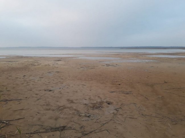 Волинський посадовець стривожений обмілінням Світязя. ФОТО