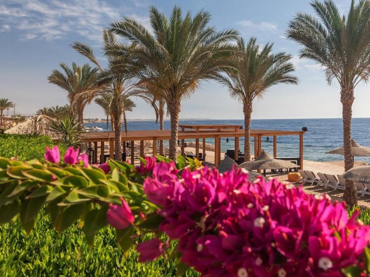 Зимове полювання за дешевими турами на море: сезон 2025 2026