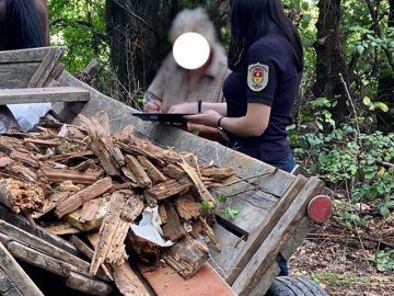 «Не знали, куди дівати»: волиняни викинули сміття у лісосмугу. ФОТО