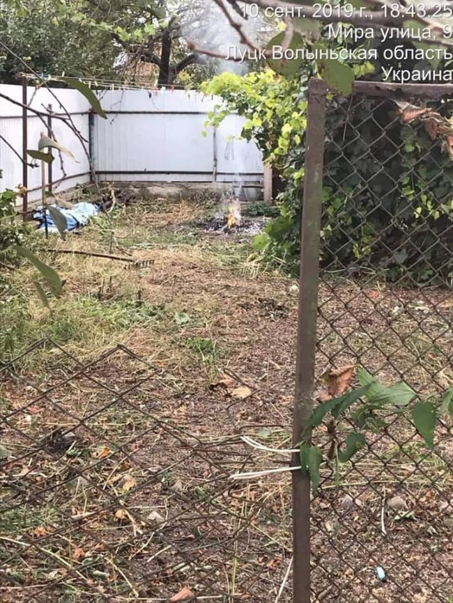 У Луцьку виявили паліїв сухого листя. ФОТО