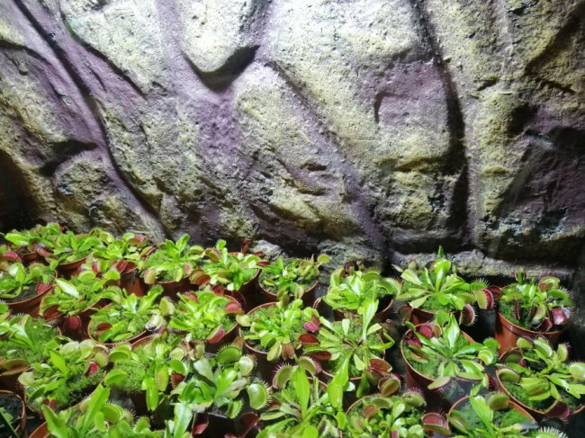 Поспішайте відвідати незвичайні виставки у ТРЦ «ПортCity»*