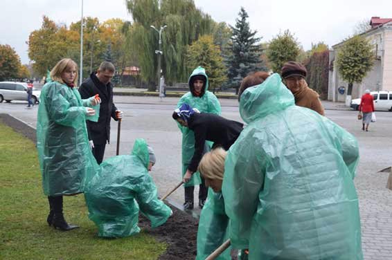 «Досить жити в сірості»: у центрі Ковеля висадили тюльпани
