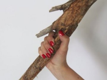 34-річна лучанка до смерті побила палицею свого товариша