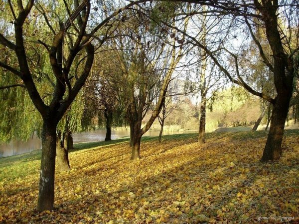 Осіння Сапалаївка. ФОТО