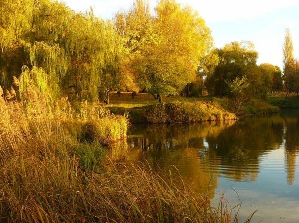 Осіння Сапалаївка. ФОТО