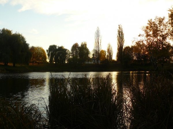 Осіння Сапалаївка. ФОТО