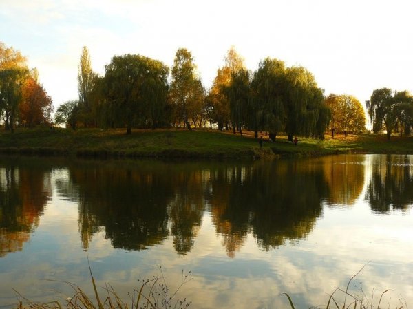 Осіння Сапалаївка. ФОТО