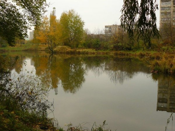 Осіння Сапалаївка. ФОТО