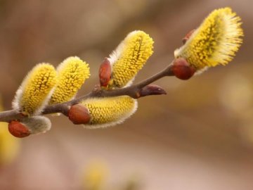 Чому сьогодні варто викинути старе взуття: що можна і не можна робити 5 березня