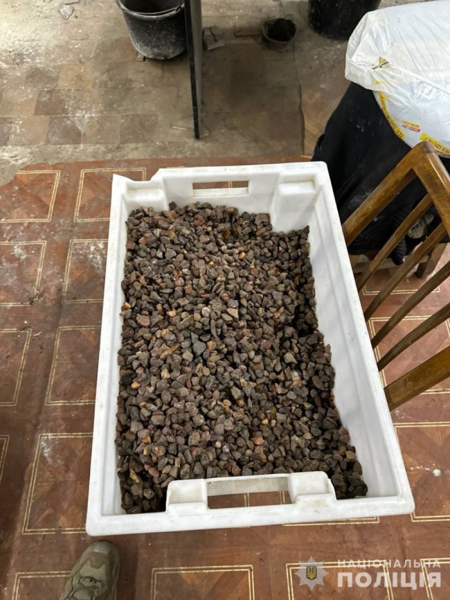 На Волині розгромили солідну банду копачів бурштину