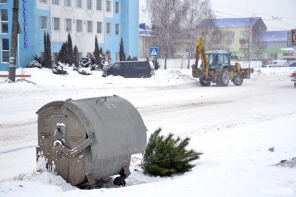 Лютий лютує: фото зими в Луцьку