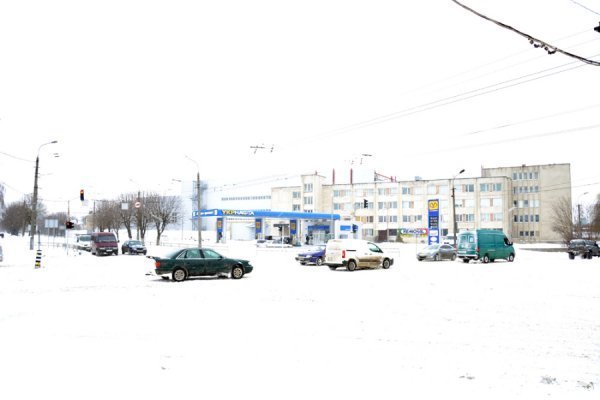 Лютий лютує: фото зими в Луцьку