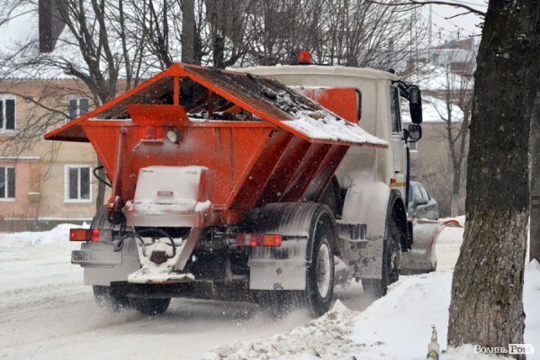 Лютий лютує: фото зими в Луцьку