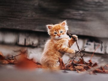 Погода на завтра, 4 жовтня, у Луцьку та Волинській області