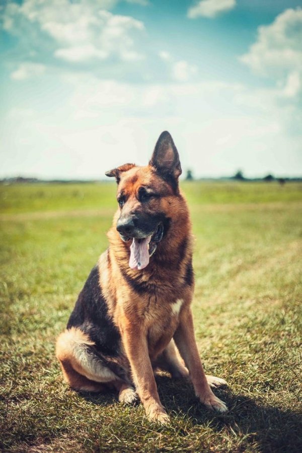 Фотовиставка Влада Бандури