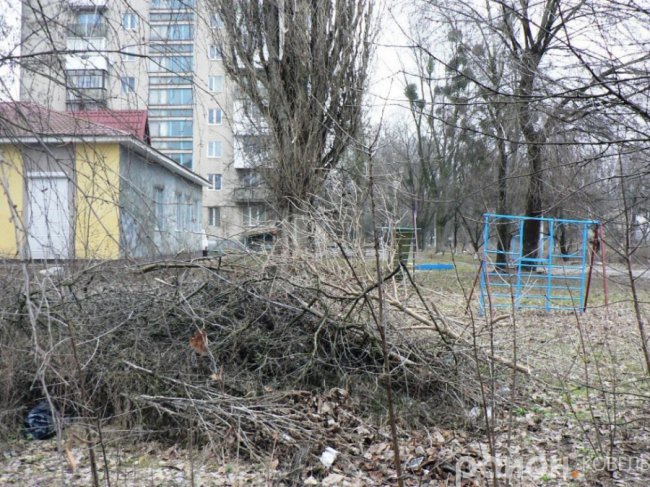 Сміття, мотлох і хащі: ковельський депутат просить прибрати «лице міста». ФОТО