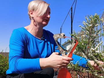 Власниця агробізнесу з Луцька показала, на що витрачає отриманий від держави грант